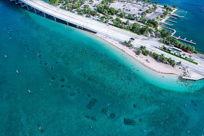 Blue Heron Bridge Guided Snorkel Tour - Why a small group changes the experience