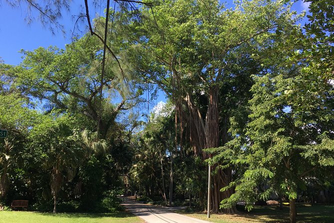 City Tour Miami PLUS and Boat Tour - Little Havana: the day’s best chance to slow down