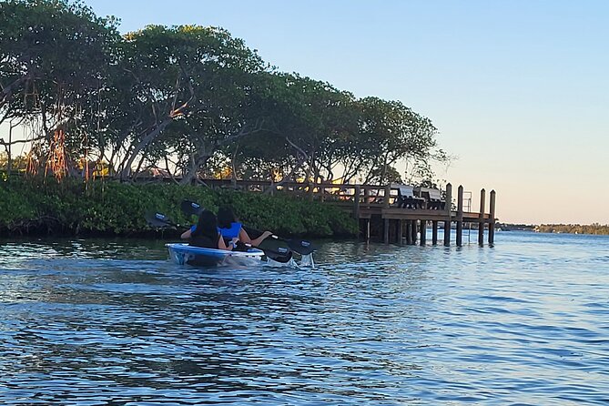 Clear Kayak Eco Tour in Jupiter, Florida - Looking below the kayak for sea life