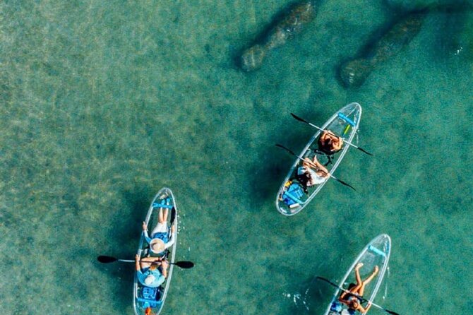 Clear Kayak Peanut Island Guided Tour Palm Beach Singer Island - Paddling Toward Peanut Island