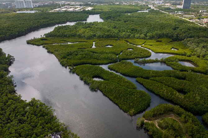 Clear Kayak Tour in North Miami Beach - Mangrove Tunnels - Tide, water clarity, and weather