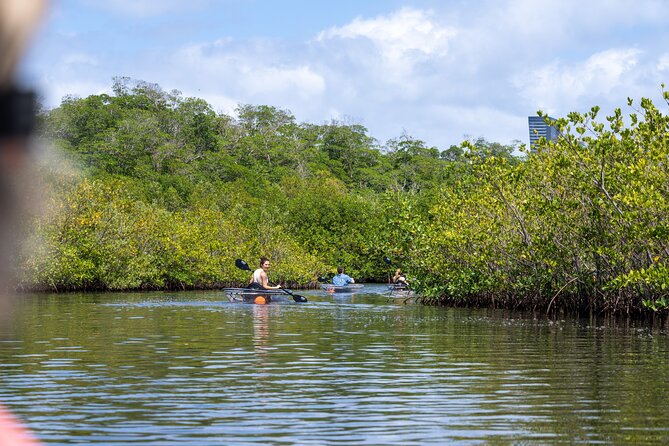 Clear Kayak Tour in North Miami Beach - Mangrove Tunnels - Who will enjoy this North Miami kayak trip
