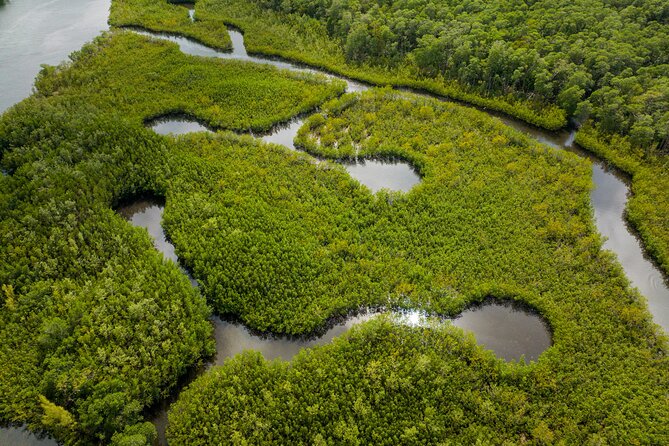 Clear Kayak Tour in North Miami Beach - Mangrove Tunnels - Jenny, Cassie, Sam, and the human side of the tour