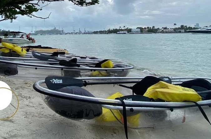 Clear Kayak Tour in South Miami Beach and Biscayne Bay - Who will enjoy this most?