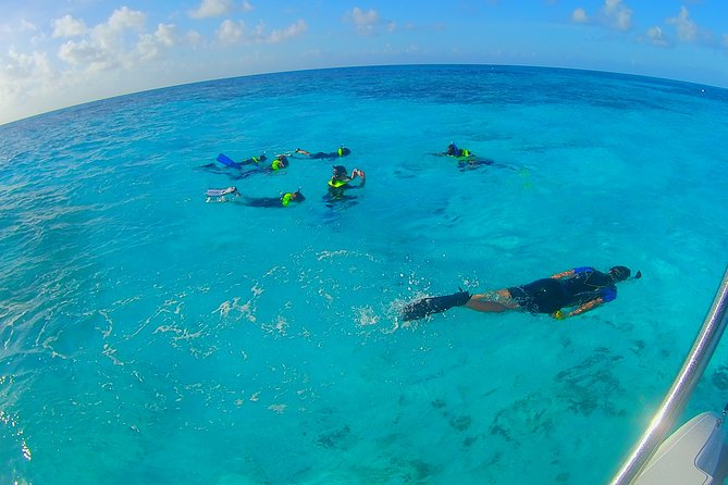 Coral Reef Private Snorkel tour out to John Pennekamp Coral Reef State Park - Key points to know before booking