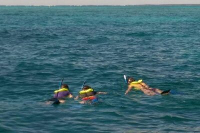 Coral Reef Private Snorkel tour out to John Pennekamp Coral Reef State Park