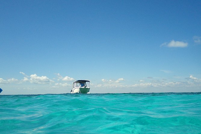 Coral Reef Private Snorkel tour out to John Pennekamp Coral Reef State Park - Weather, timing, and the practical details