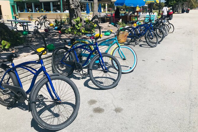 Cruiser Bike Rental at Crandon Park - A gentle way to see Crandon Park
