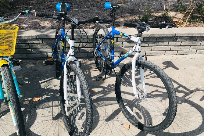 Cruiser Bike Rental at Crandon Park - Timing, weather, and practical details