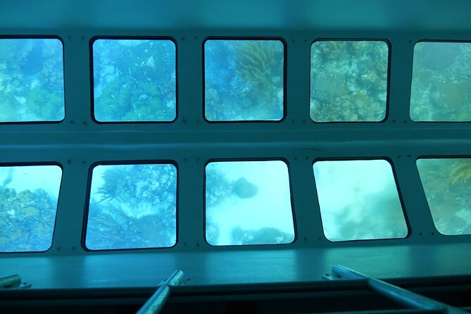 Day Tour Glass Bottom Boat In Islamorada - The crew can make or break the two hours