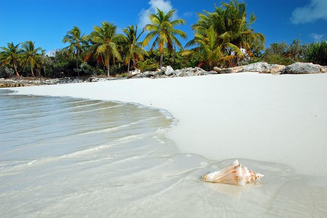 Day Trip to Bimini, Bahamas - Ferry Tickets - Economy or Premium Class?