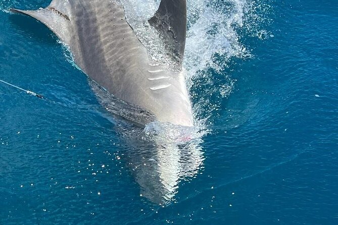 Deep sea fishing charters in Fort Lauderdale aboard 52' Hatteras - Who will enjoy this Fort Lauderdale charter