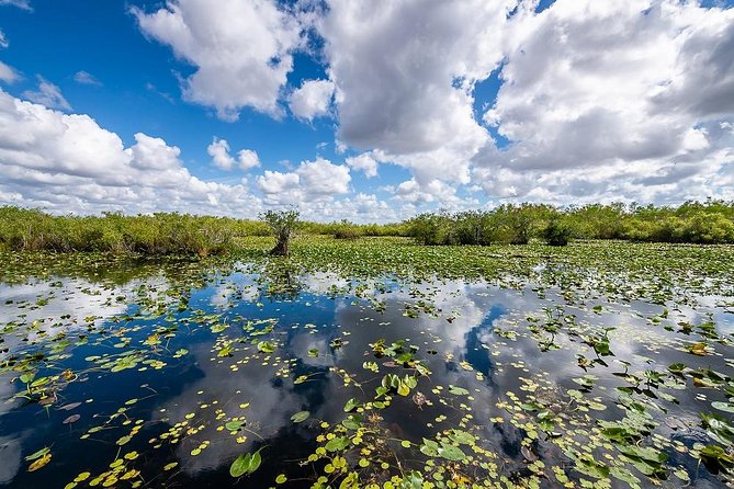 Depart from Miami to discover the Everglades with Airboat tour included! - From Miami streets to the Everglades