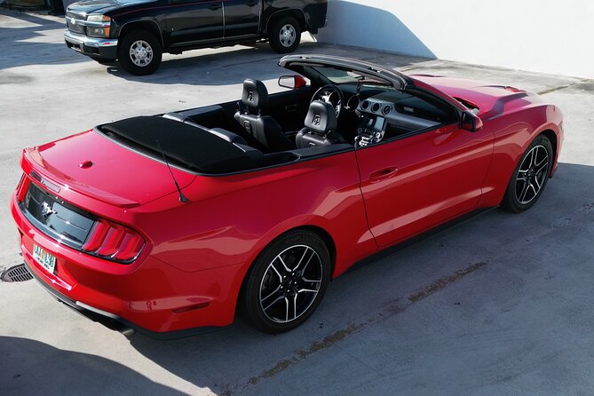 Drive a Mustang Convertible - Why a Mustang Makes Sense in South Florida