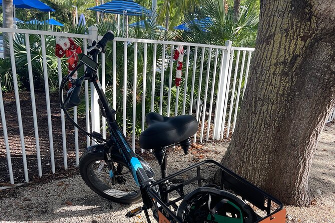 E-Bike Rental in the Florida Keys - Who will get the most from this rental