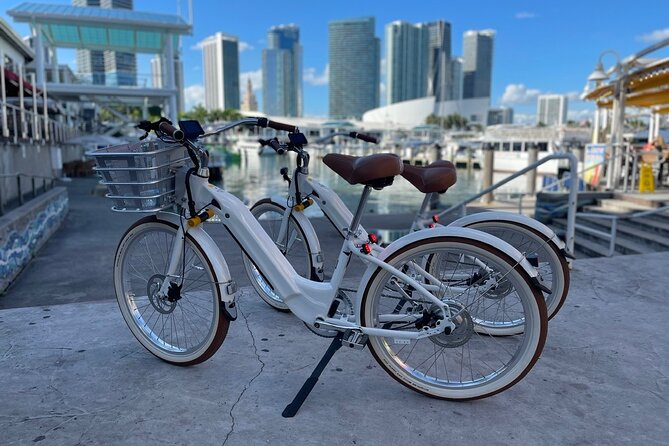 Electric Bike Rental Miami Beach - Price, group size, and practical value
