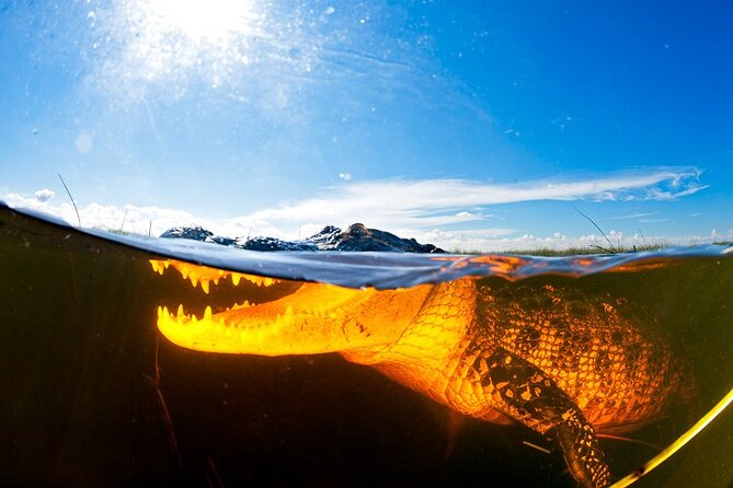 Everglades Admission Ticket with Airboat Ride and Wildlife Show - The smartest order for your visit