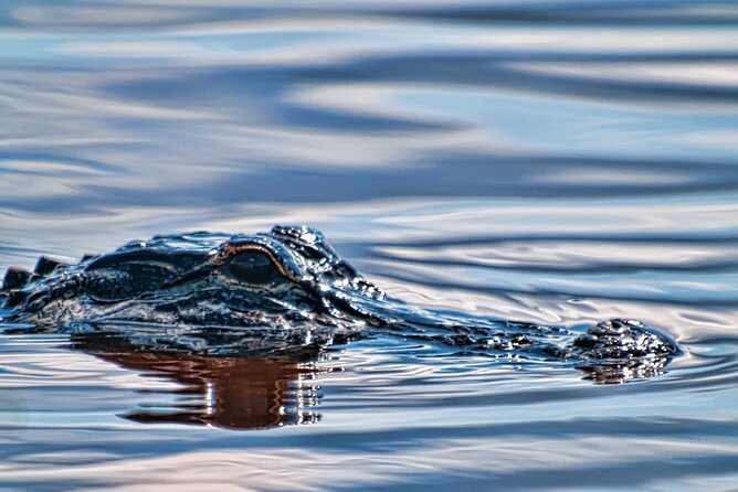 Everglades Admission Ticket with Airboat Ride and Wildlife Show - Is this a real Everglades trip?
