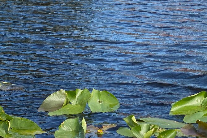 Everglades Airboat Adventure with Roundtrip Bayside Transfer - Who will enjoy this outing most