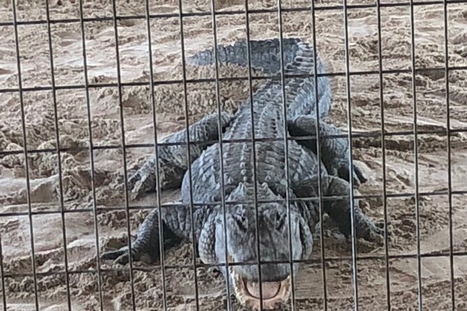 Everglades Airboat Experience – Wildlife & Wetlands - Reaching the Everglades wetland area