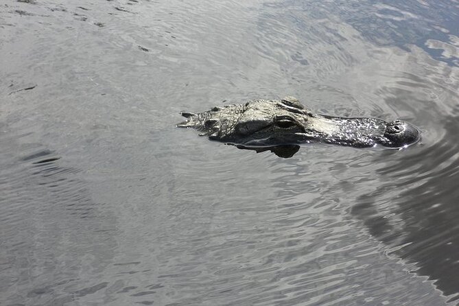 Everglades Airboat Tour from Fort Lauderdale with transportation - Pickup timing matters more than it first appears