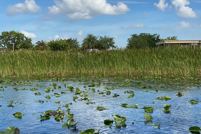 Everglades Airboat Tour with Roundtrip Transportation from Miami - Transport time and the return to Miami