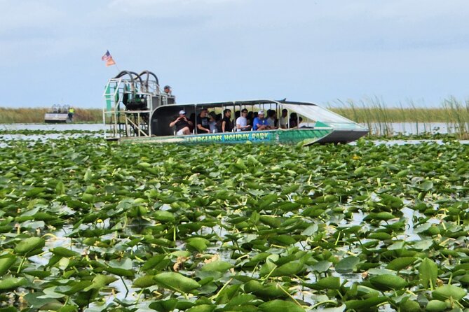 Everglades Alligator Airboat Tour with Bus transfer from Miami - From Miami towers to Everglades water