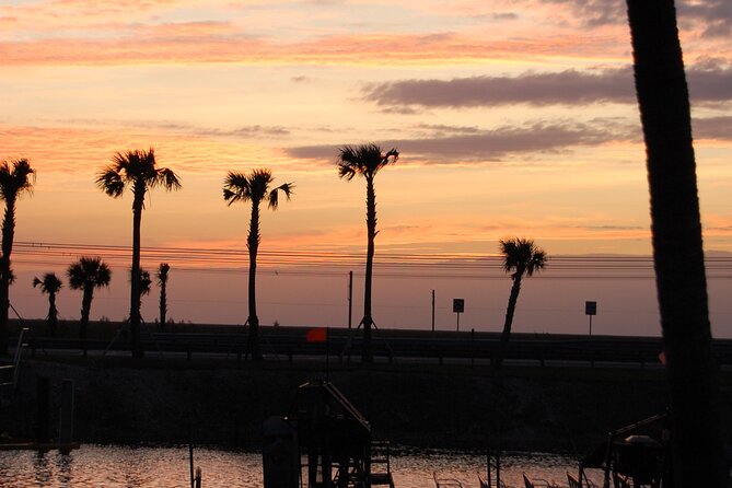 Everglades at Night with Airboat and Alligators Tour From Miami - The alligator presentation adds context