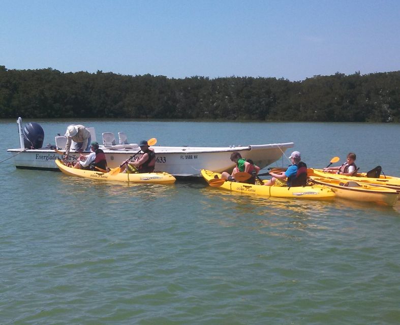 Everglades: Boat Assisted Kayak Eco Tour - Key points to know before you go