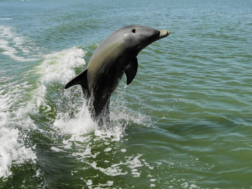 Everglades: Boat Assisted Kayak Eco Tour - Walking the island beach