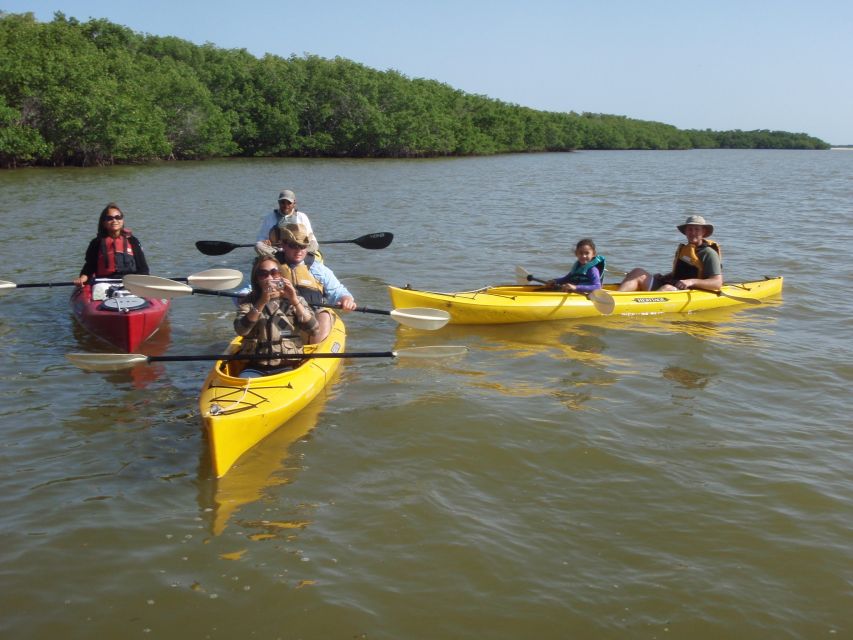 Everglades: Boat Assisted Kayak Eco Tour - A guide-led look at history and wildlife