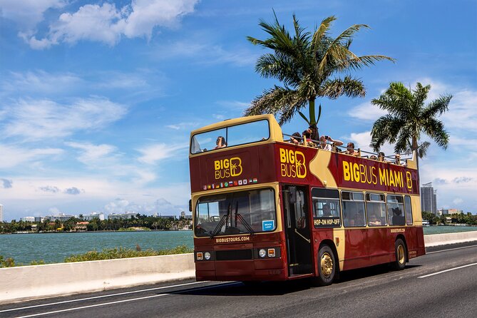 Everglades, Boat Cruise & Open-Top Bus Tour From Miami - Everglades Holiday Park and the 45-minute airboat ride