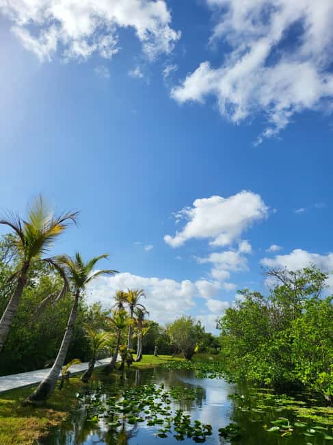 Everglades: boat tour with transportation& entrance included - The drive to Everglades National Park