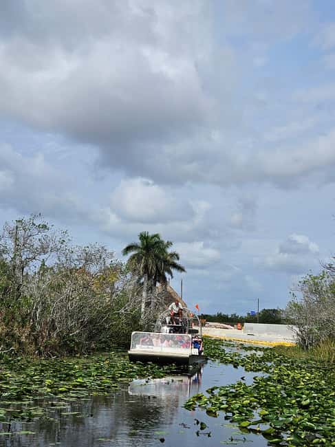 Everglades: boat tour with transportation& entrance included - The 20-minute alligator show