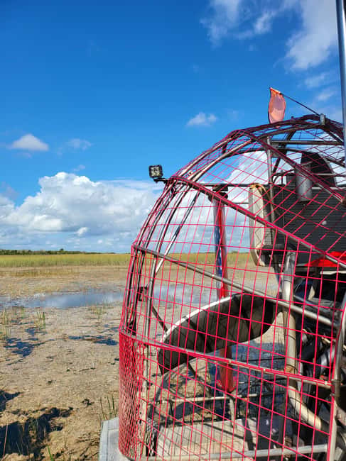 Everglades: boat tour with transportation& entrance included - The return to South Beach and the Art Deco bonus