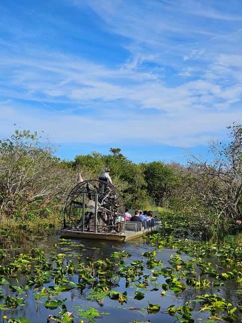 Everglades: boat tour with transportation& entrance included - Meeting in Miami Beach and getting organized