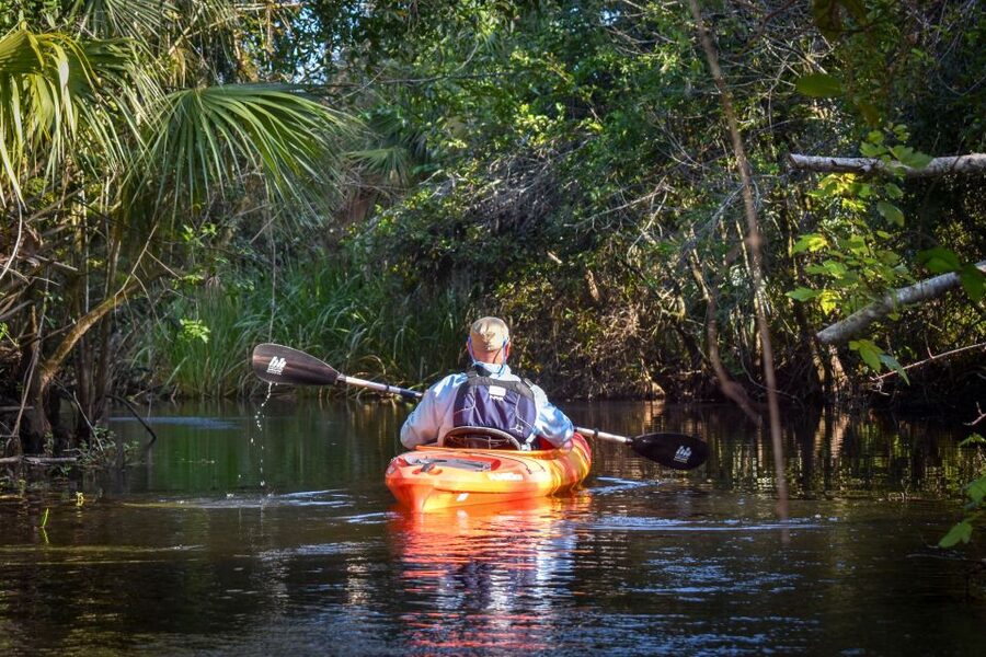 Everglades City: Guided Kayaking Tour and Airboat Ride - A five-and-a-half-hour look at the Everglades