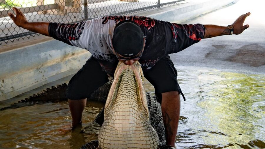 Everglades City: Guided Kayaking Tour and Airboat Ride - How to prepare for heat, insects, and water