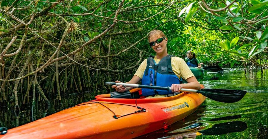 Everglades City: Guided Kayaking Tour and Airboat Ride - Who will enjoy this combination most