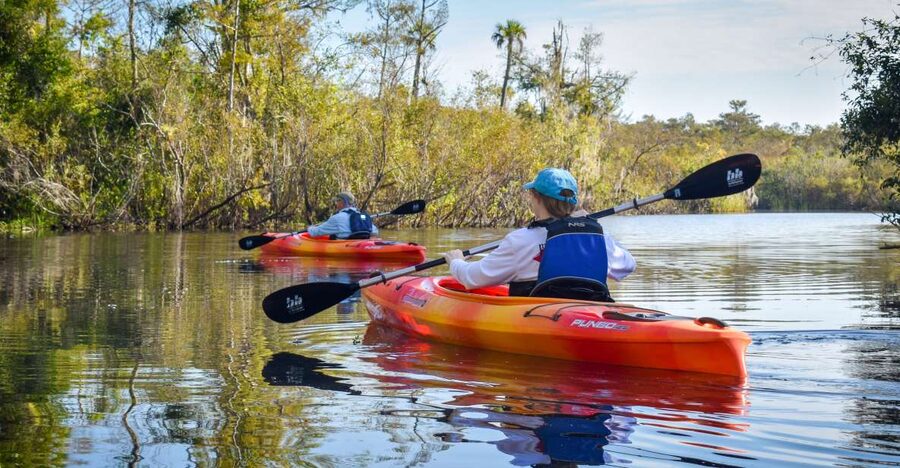 Everglades City: Guided Kayaking Tour of the Wetlands - Key points at a glance