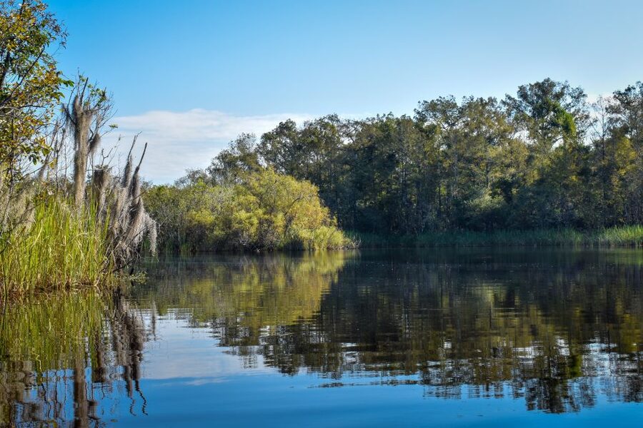 Everglades City: Guided Kayaking Tour of the Wetlands - Is $102 a fair price?