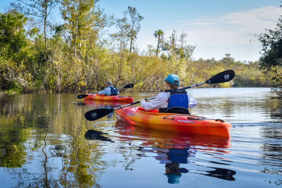 Everglades City: Guided Kayaking Tour of the Wetlands - From the Ivey House meeting point to the launch