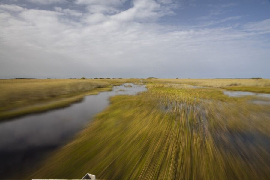 Everglades Day Safari from Fort Lauderdale - A waterside lunch in the Everglades