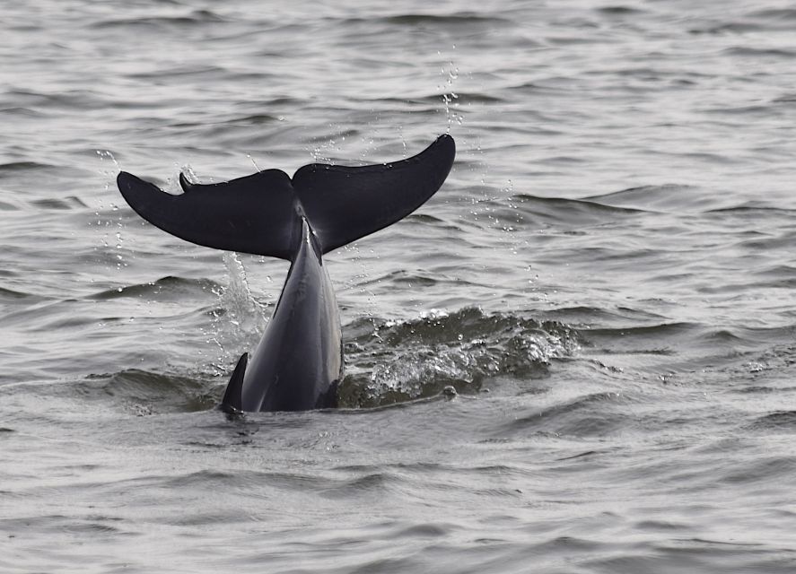 Everglades Day Safari from Fort Lauderdale - The 10,000 Islands boat cruise