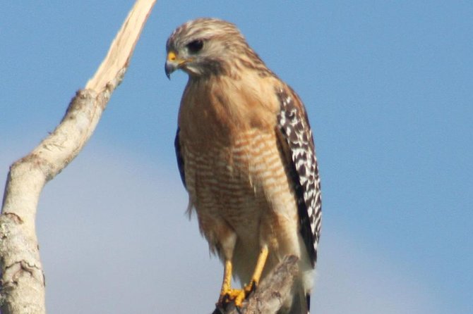 Everglades Day Safari from Ft Lauderdale - A useful lunch break in Everglades City