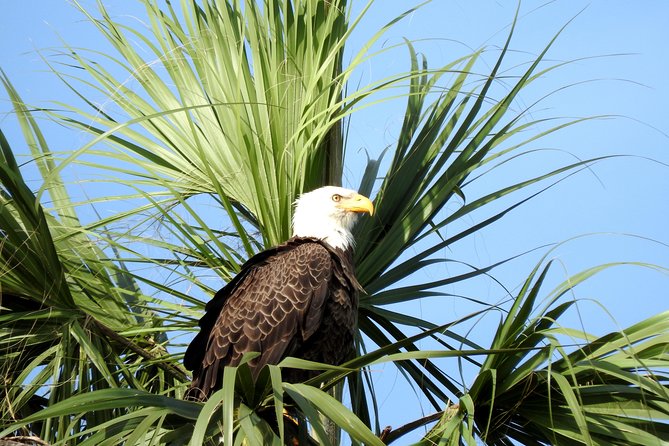 Everglades Day Safari from Ft Lauderdale - Smallwood Store and the human side of the swamp