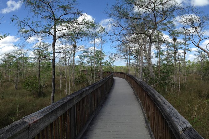 Everglades Day Safari from Ft Lauderdale - What the guide adds to the experience
