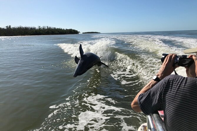 Everglades Day Safari from Ft Lauderdale - Big Cypress, cypress trees, and wildlife stops