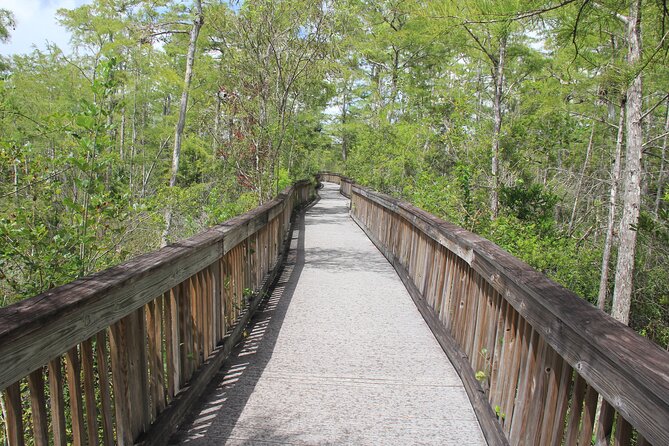 Everglades Day Safari from Miami - Lunch in Everglades City