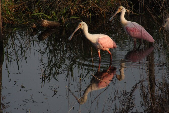 Everglades Day Safari from Miami - Smallwood Store and the human side of the swamp